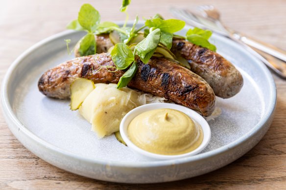 Bratwurst sausages with mashed potato, sauerkraut, mustard and gherkins.