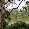 View of the Brisbane River in Jindalee. 