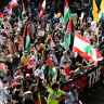 Pro-Palestine protesters in Sydney