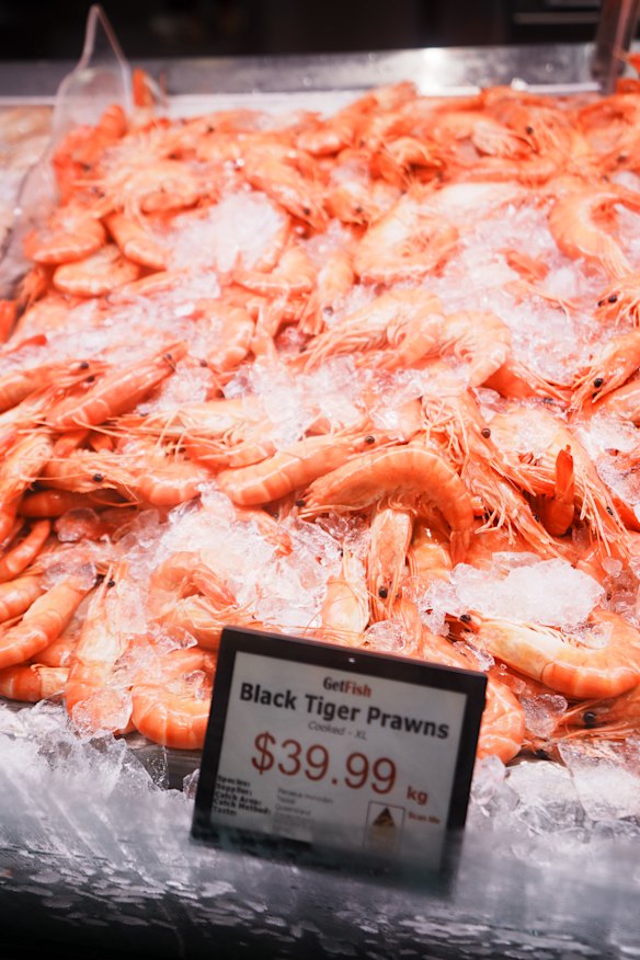 Rick Stein fica impressionado com o frescor do camarão. 