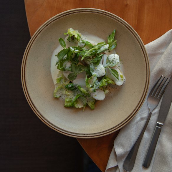 Fish with foamy veloute at Clover.