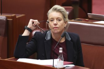 Nationals senator Bridget McKenzie