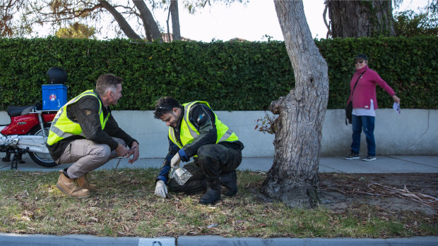 Microbiologist Tim Stinear (at left) and Buruli bug PhD student Andrew Buultjens collecting possum poo. 