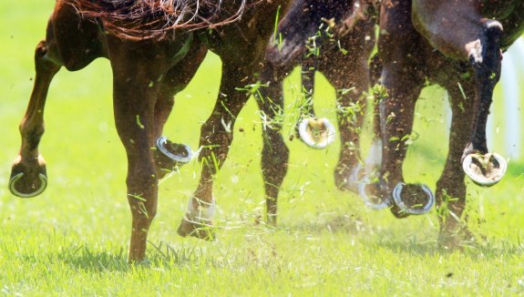 NSW’s feature meeting on Monday will be held at Queanbeyan.