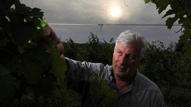 Hunter Valley winemaker Mark Davidson, from Tamburlaine Organic Wines.