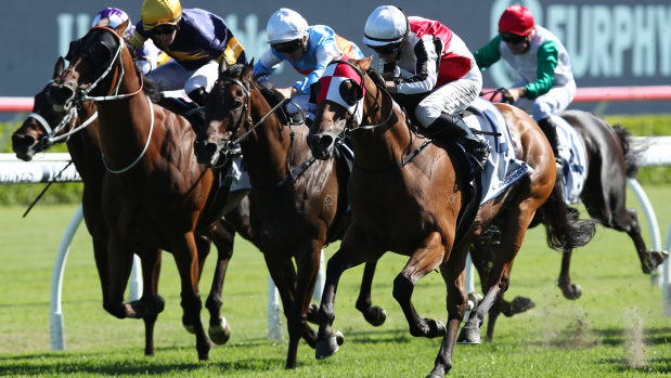 Racing returns to Moruya on Sunday with an eight-race card.