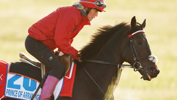 Prince Of Arran during a trackwork session at the Werribee International Horse Centre.