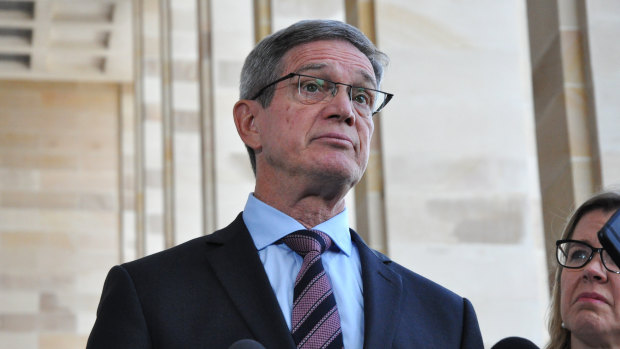 WA Liberal leader Mike Nahan has says the WA domestic economy is in recession.