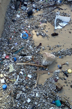 Pumice as well as plastic waste washed up on a Queensland beach in 2013.