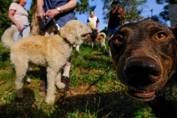 Who’s more intelligent?