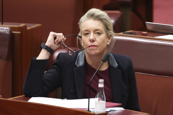 Nationals senator Bridget McKenzie.