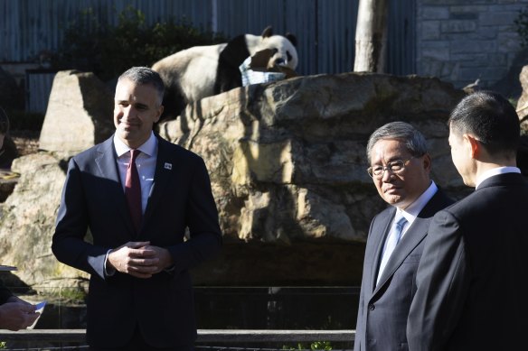 South Australian Premier Peter Malinauskas and Chinese Premier Li Qiang with giant panda Wang Wang at the Adelaide Zoo.