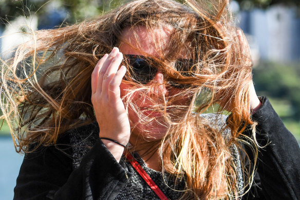 A tourist is caught in winds in the Botanic Gardens on Friday.