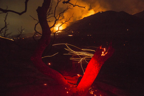 The wind whips embers from a tree burned by a wildfire Yucaipa in California. A brutal heat wave pushed temperatures into triple digits in many parts of state. 