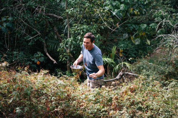 Eddie Brook foraging in the rainforest at Cape Byron.