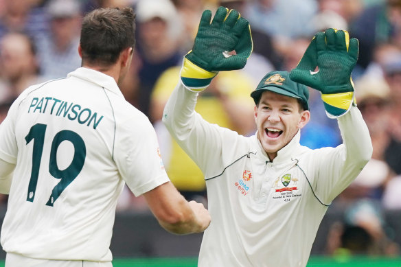 Glove is in the air ... Tim Paine has won plenty of admirers since stepping up as Test captain in difficult circumstances.