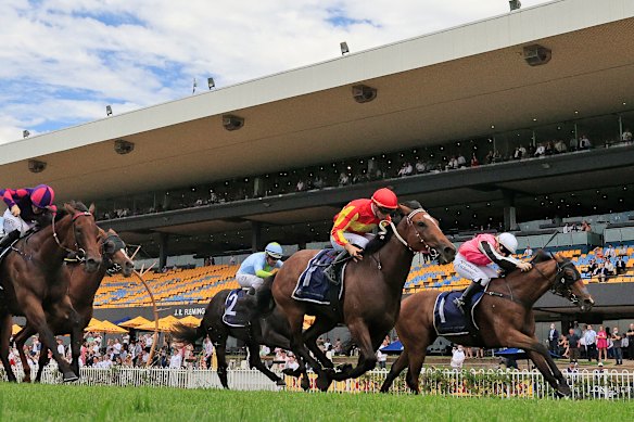 Easy Campese (right) running second to Crosscheck in the Midway Handicap last month.