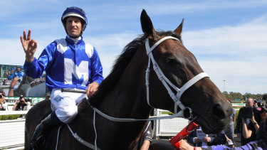 She's apples: Hugh Bowman returns on WInx after her 30th consecutive win in the Apollo Stakes on Saturday