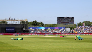 Players and umpires lie on the pitch after a swarm of bees sweeps over the ground.