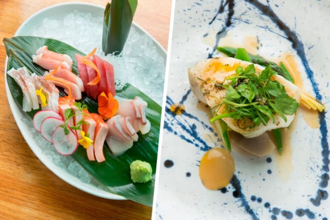 The sashimi and Patagonian toothfish.