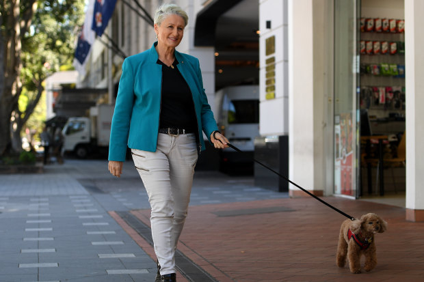 Kerryn Phelps and her campaign weapon, Lulu the poodle.