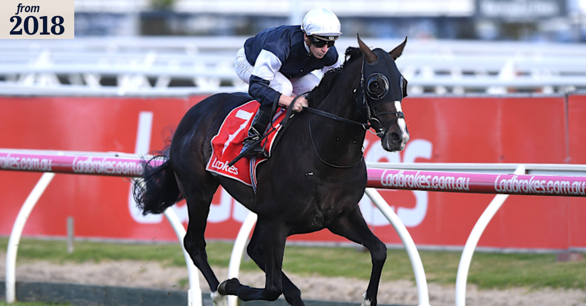 Yucatan a Melbourne Cup winner in waiting: Williams