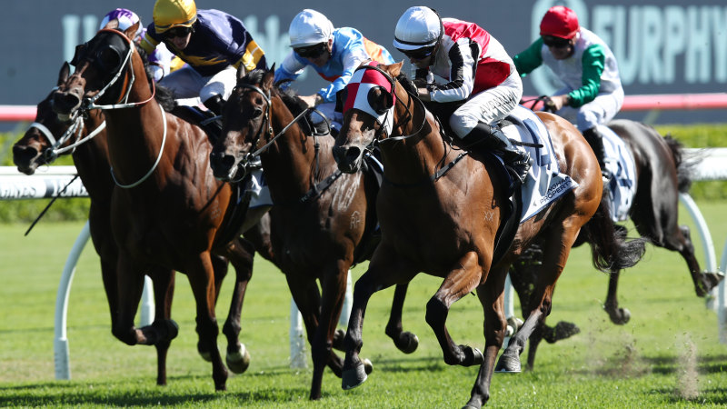 Race-by-race preview and tips for Moruya on Saturday