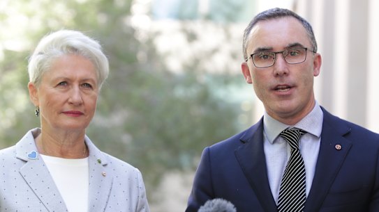 Crossbench MP Kerryn Phelps and independent senator Tim Storer will write to the Australian National Audit Office on Wednesday urging them investigate the advertising spend.