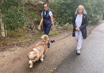 Mount Coot-tha bush walkers Margaret Walton (left) and Julie Chance are pleased secret and open security cameras have been placed in the area after attacks on women.