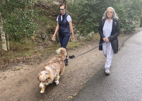 Mount Coot-tha bush walkers Margaret Walton (left) and Julie Chance are pleased secret and open security cameras have been placed in the area after attacks on women.