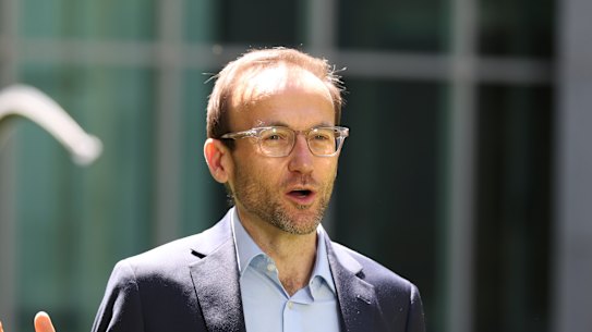 Greens leader Adam Bandt ... his party risks sacrificing votes to progressive independents. 