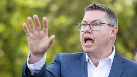 Minister for International Development and the Pacific Pat Conroy.