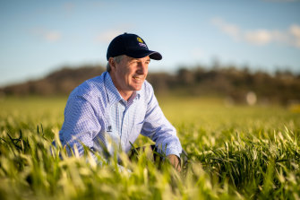 Bumper crops and bumper prices have given GrainCorp a boost, says CEO Robert Spurway. 