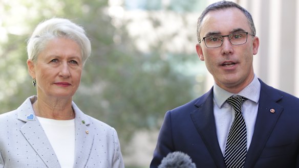Crossbench MP Kerryn Phelps and independent senator Tim Storer are  both calling for investigations into the advertising spend.