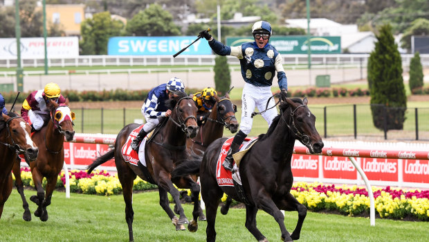 Expect something like this if Glen Boss wins a big at the Magic Millions.