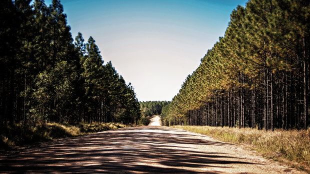 On one occasion, the woman was driven up a track in Toolara Forest, her hands and feet bound, and left there. Upon being cut free a short time later, she was forced to walk alongside the car.