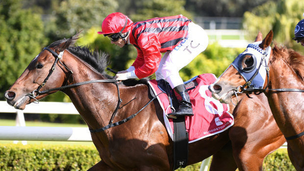 Heir to the throne: Rule The World leads all the way on debut at Canterbury. 
