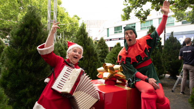 Civic will come alive with music and entertainment over the Christmas period.