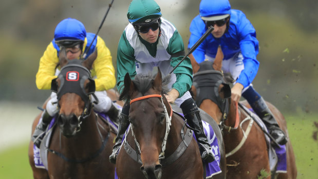 Tommy Berry and Exceedance get the better of Bivouac in the San Domenico Stakes last month 