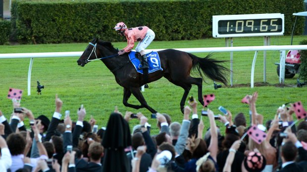 The fans react after Black Caviar's 25th (and final) victory in 2013.