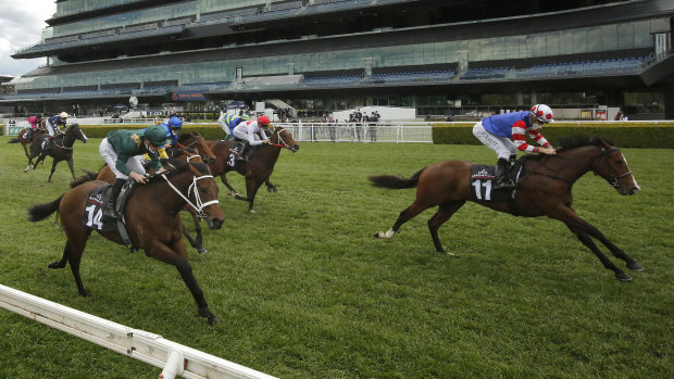 Hard To Say (red cap) runs fourth behind  Sejardan in the Breeders Plate in October.