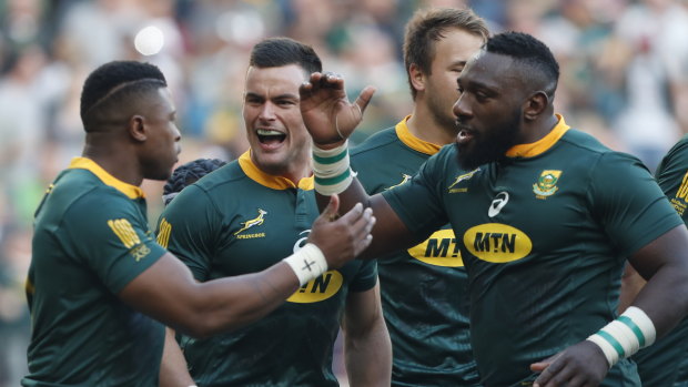 Celebration: South Africa were never really troubled by the Wallabies in Port Elizabeth.