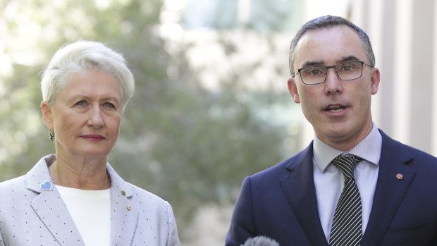 Crossbench MP Kerryn Phelps and independent senator Tim Storer worked closely on the amendments.