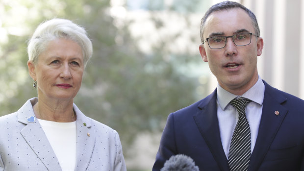 Crossbench MP Kerryn Phelps and independent senator Tim Storer are  both calling for investigations into the advertising spend.
