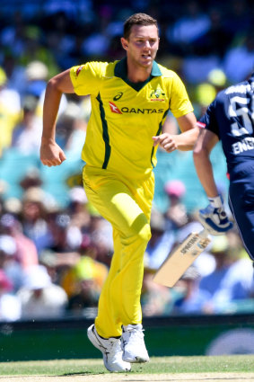 Underdone Australian quick Josh Hazlewood is set to  miss out on the World Cup.
