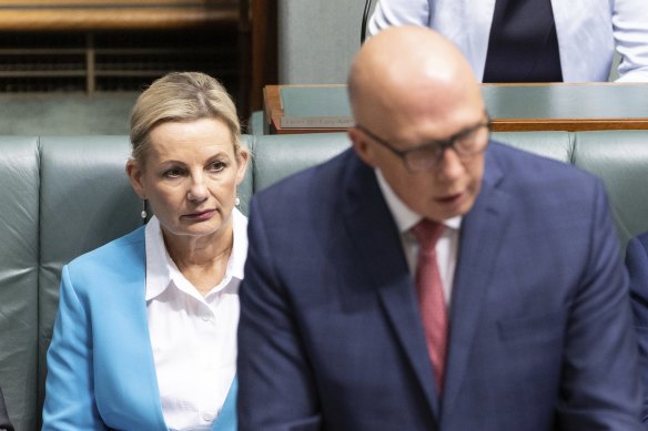 Deputy Opposition Leader Sussan Ley is viewed as a potential successor to Peter Dutton among some Liberal Party figures.