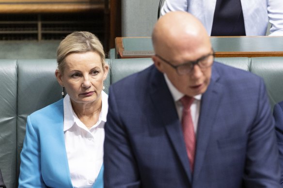 Deputy Opposition Leader Sussan Ley and Opposition Leader Peter Dutton during question time today.