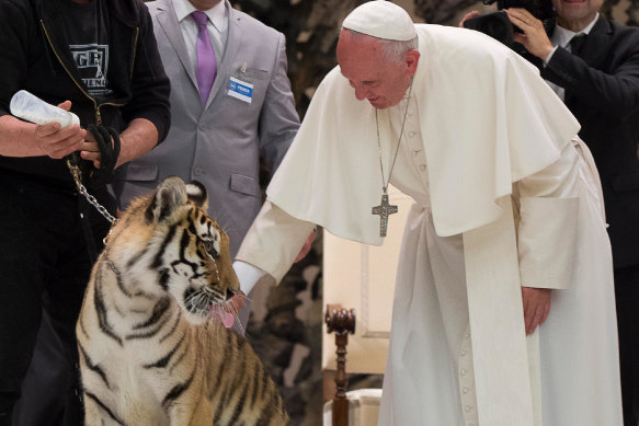 Pope Francis patting a big cat - a young tiger - at an audience with circus troops in 2016. 