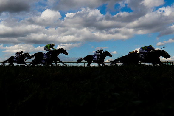There are eight races at Randwick for punters to pick from on Wednesday.
