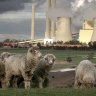 Federal government and industry are investing in renewable energy in the Latrobe Valley as the coal sector winds down. 
